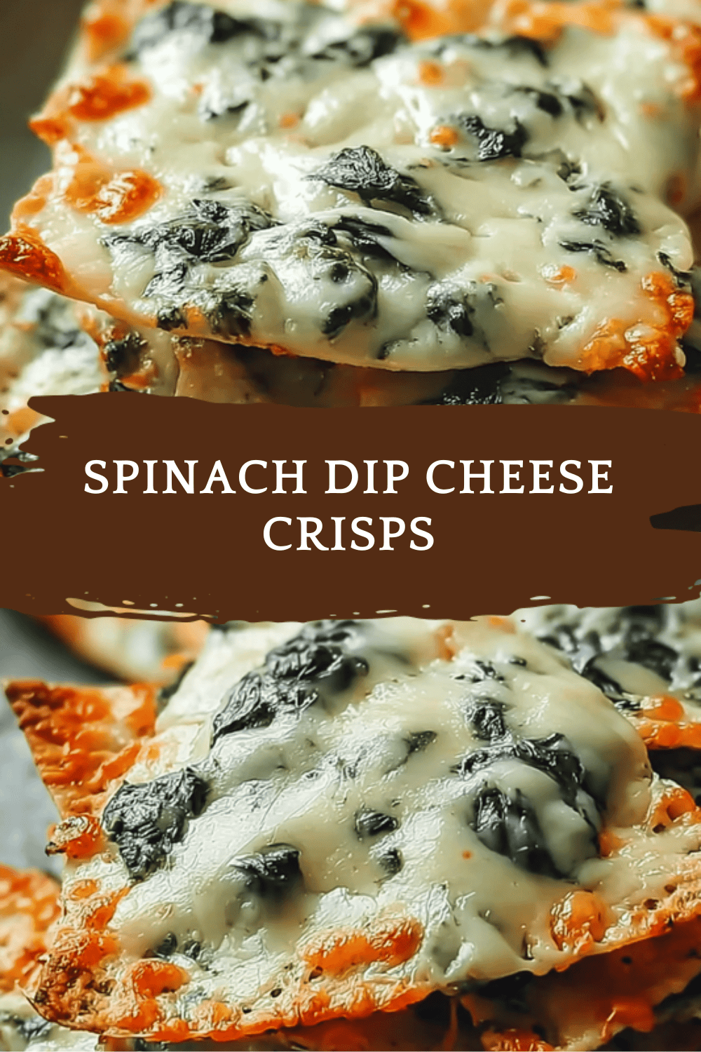 Spinach Dip Cheese Crisps